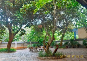 Lam Son Deluxe Apartments