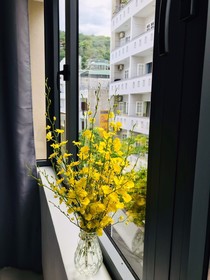Nhat Thu Hotel & Apartment