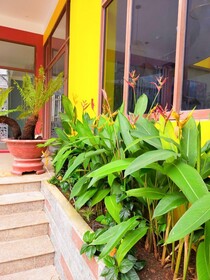 Seventeen Vung Tau Hotel