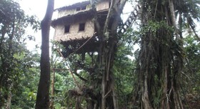 Tanna Lava View Bungalows