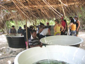 Tranquillity Island Resort