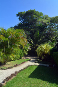 Island Magic Resort