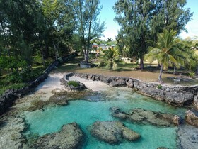 Tropical Haven