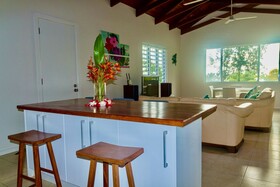 Tropical Haven