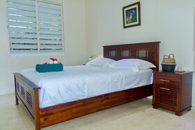 Tropical Haven