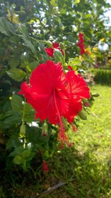 Manmimar Nature Lodge