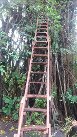 Tanna Eco Venture Bungalow