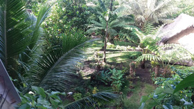 Tanna Eco Venture Bungalow