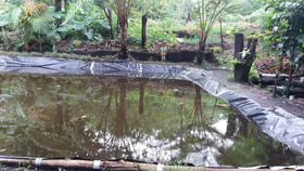 Tanna Eco Venture Bungalow