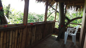 Tanna Eco Venture Bungalow