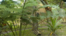 Tanna Eco Venture Bungalow