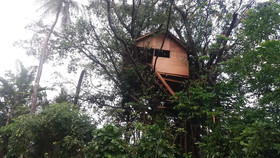 Tanna Eco Venture Bungalow