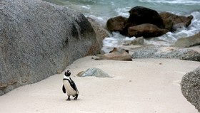 The Twelve Apostles Hotel and Spa