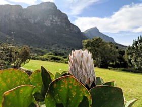 Africa Cape Villa