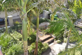 African Palm Cottage