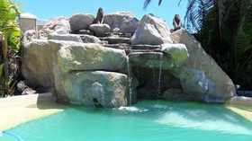 Afro Chic Guest House