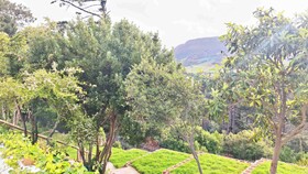 Akamah Estate