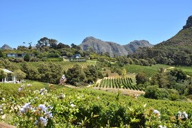 Akamah Estate