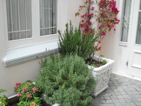 Avanti Guest House