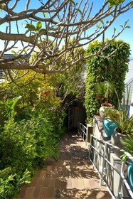 Bluegum Hill Guesthouse