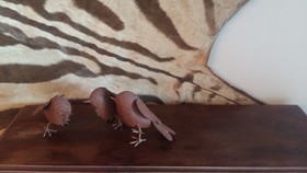 Bluegum Hill Guesthouse