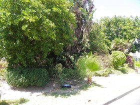 Cape Town Palms Bed and Breakfast & Self Catering Guest House
