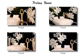 Daddy Long Legs Art-Hotel