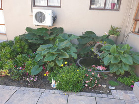 Dilisca Guesthouse
