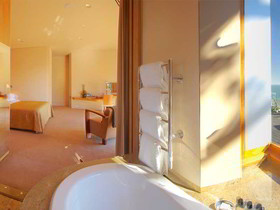 Ellerman House