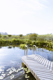 Hotel Verde