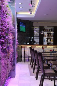 Hotel Verde