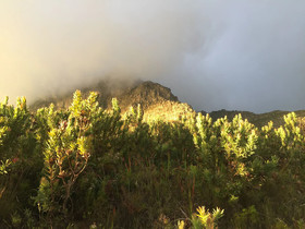 Lalapanzi Lodge