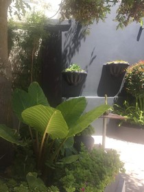 Little Scotia Guest House