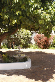 Little Scotia Guest House