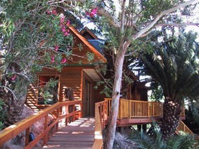 Lézard Bleu Guesthouse