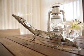 Lézard Bleu Guesthouse