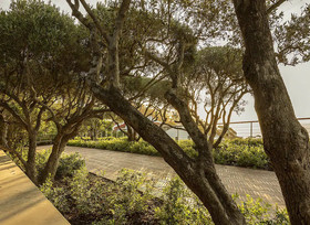 Moondance Villa