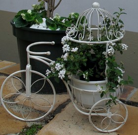 Mountain Manor Guest House