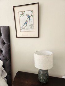 Schoongezicht Guesthouse