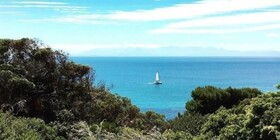 Seabreeze