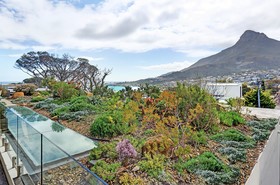 The Blinkwater Villa