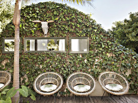 The Cape Standard Guest House
