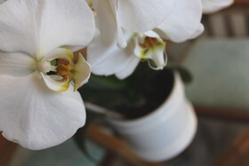 The High Street Accommodation