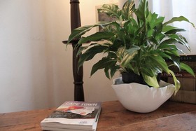 The John Bauer Pottery Studio and B&B