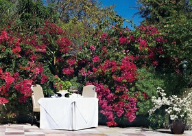 Last Word Constantia