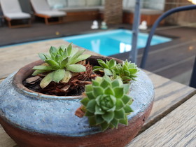 The Tree House Boutique Hotel