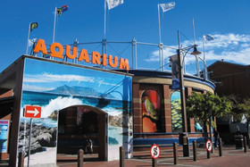 V&A Waterfront Village