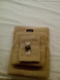 VIP Cape Lodge