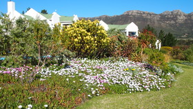 Wind-Rose Guest House