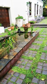 Ibis House